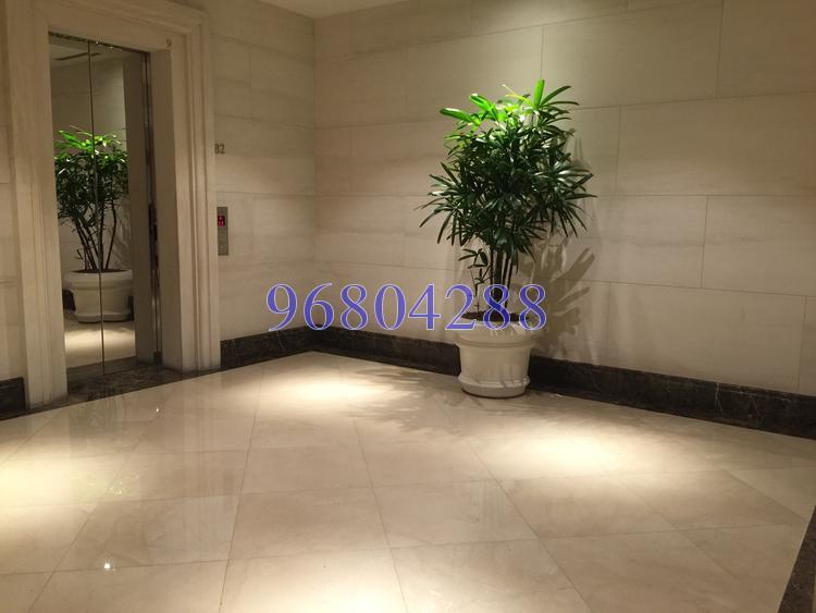 Ardmore Park (D10), Condominium #121266682
